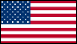 USA Flag